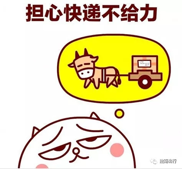 隴運集團武都汽車站、成縣汽車站、康縣汽車站快運