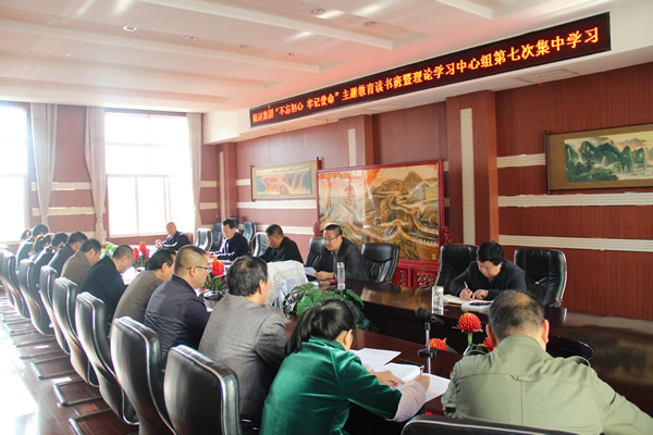 隴運集團(tuán)公司黨委召開“不忘初心、牢記使命”主題教育讀書班暨理論學(xué)習(xí)中心組第七次集中學(xué)習(xí)（擴大）會議